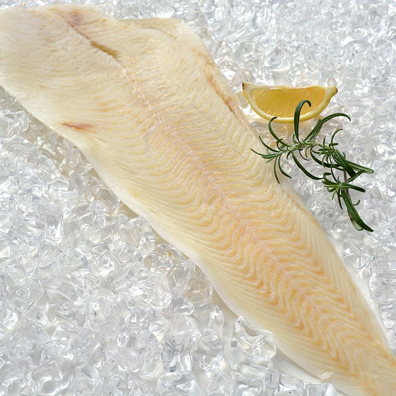 Halibut filet chlazeny 800g+