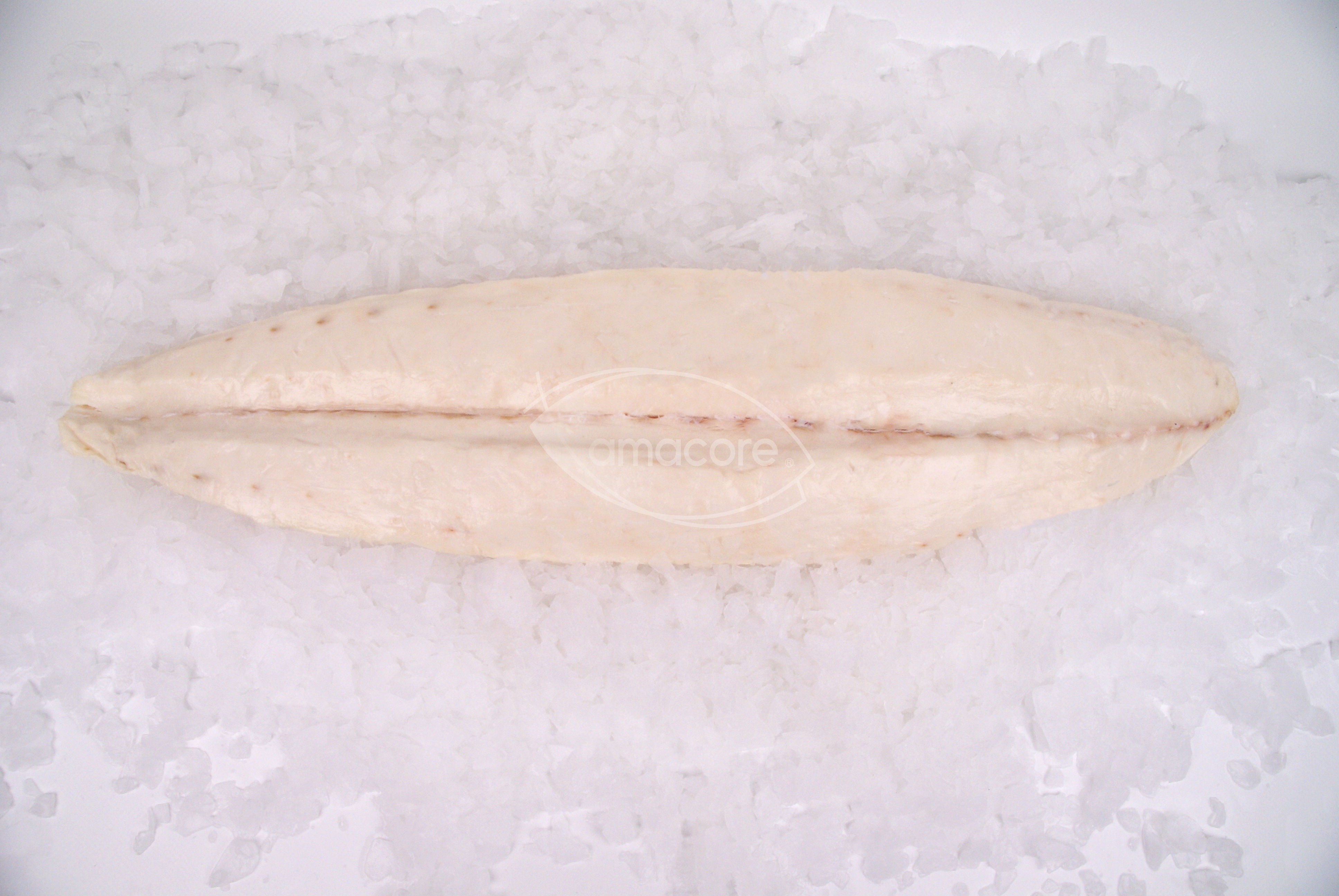 Butterfish filet 2-7kg