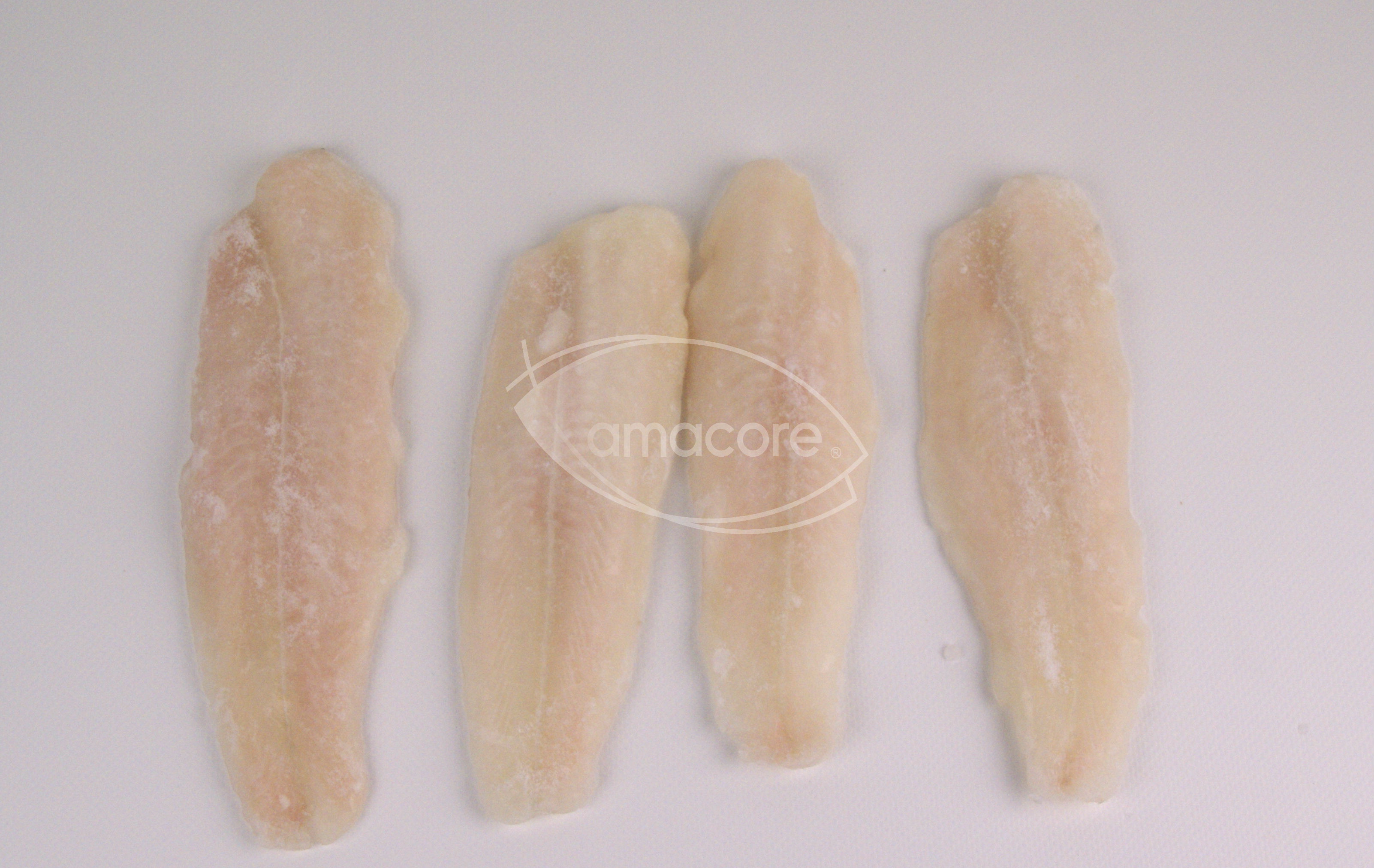 Pangasius filet