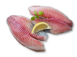 Tilapia filet mražený 90-150g