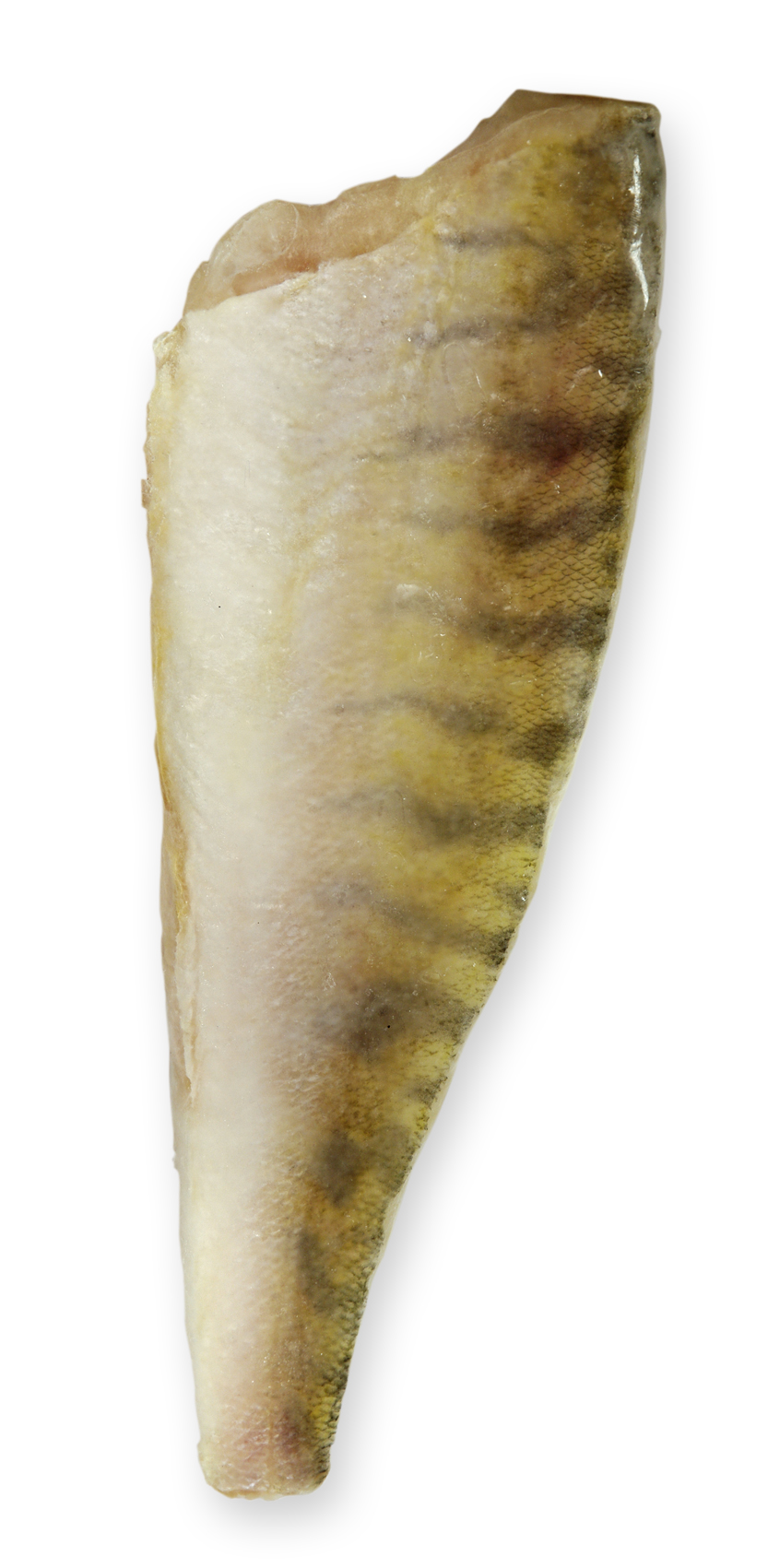 Candát filet s kůží 800g+